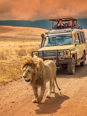 Africa
